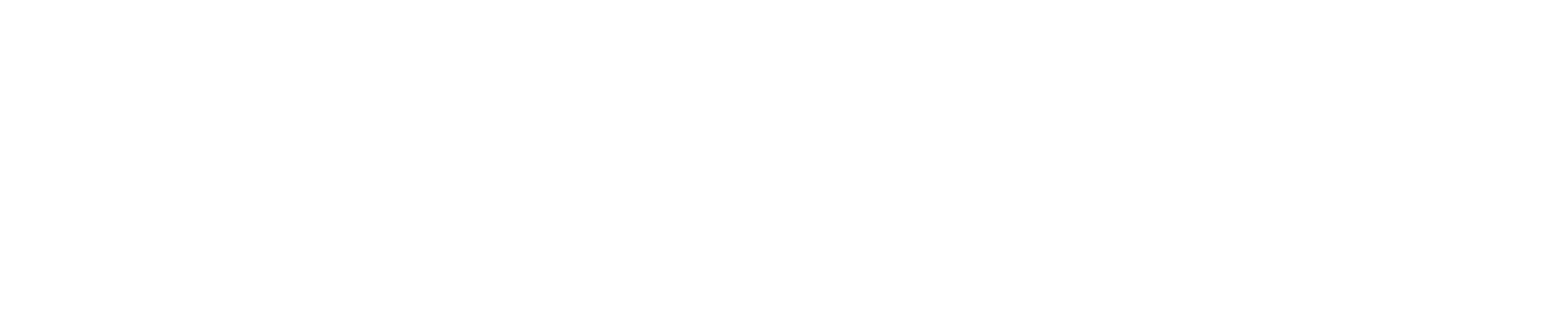 VISITS_LOGO_WHITE